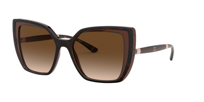 318513 - Havana On Transparent Brown