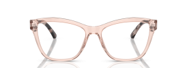 5544 - Shiny Transparent Pink