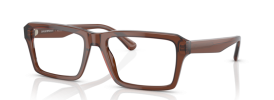 5044 - Shiny Transparent Brown