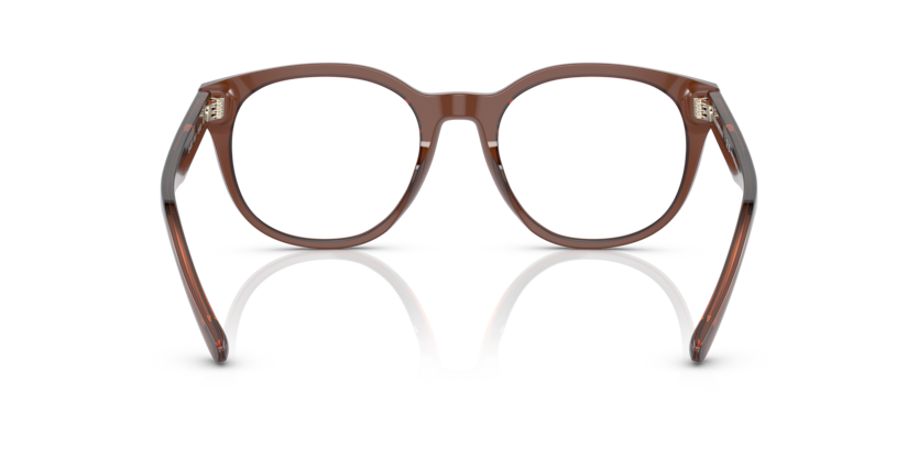 5044 - Shiny Transparent Brown