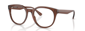 5044 - Shiny Transparent Brown