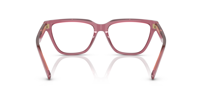 5544 - Shiny Transparent Pink