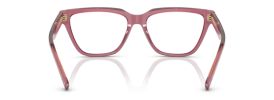 5544 - Shiny Transparent Pink