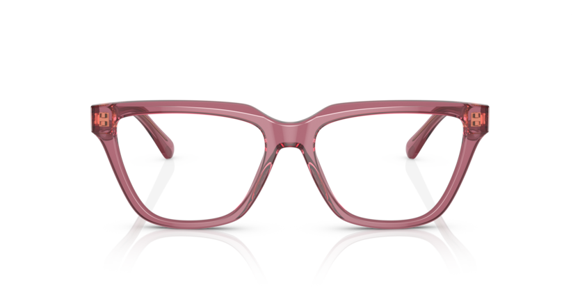 5544 - Shiny Transparent Pink