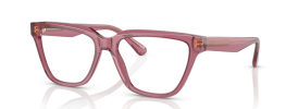 5544 - Shiny Transparent Pink