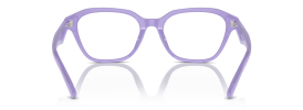 6117 - Shiny Opaline Violet