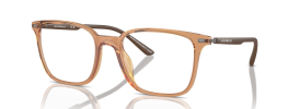 6110 - Shiny Transparent Brown