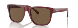 507573 - Transparent Bordeaux