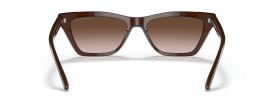 591013 - Transparent Brown