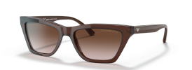 591013 - Transparent Brown