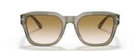 Emporio Armani EA 4175 Sunglasses