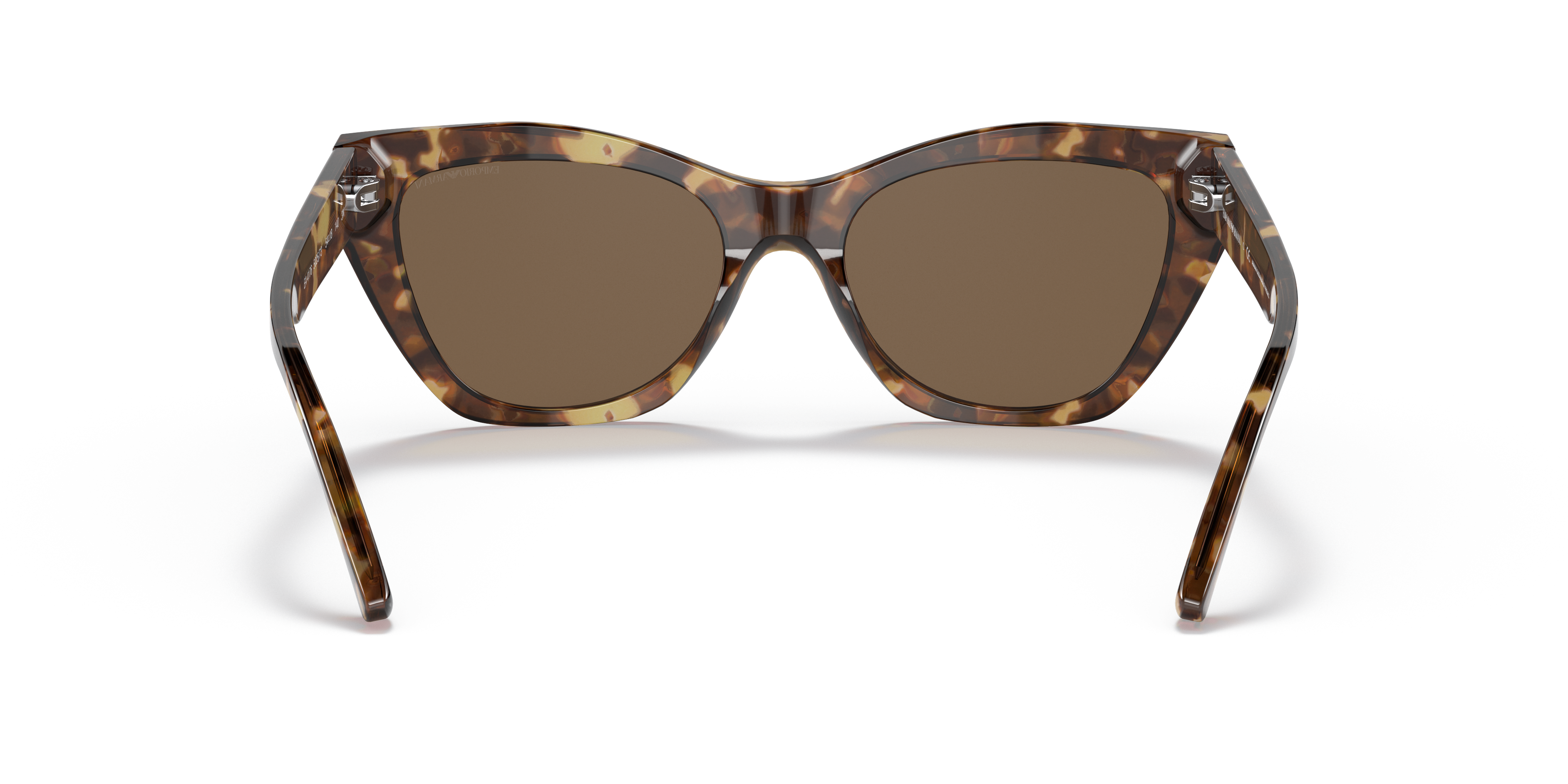 502573 - Shiny Brown Havana