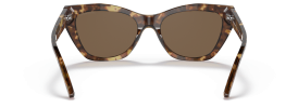 502573 - Shiny Brown Havana