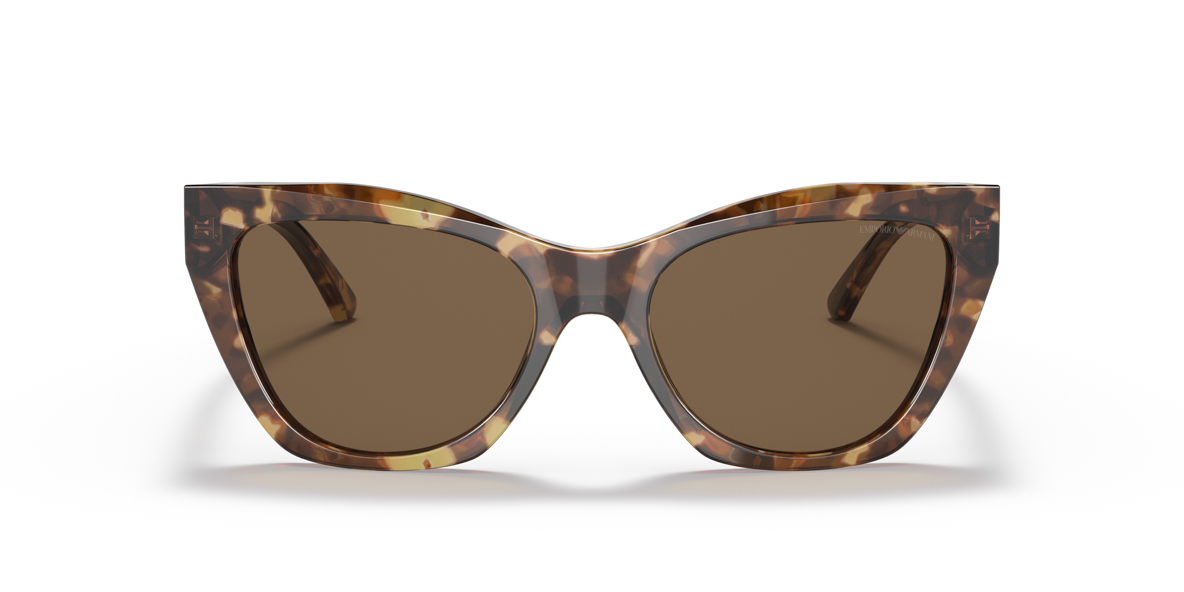 502573 - Shiny Brown Havana