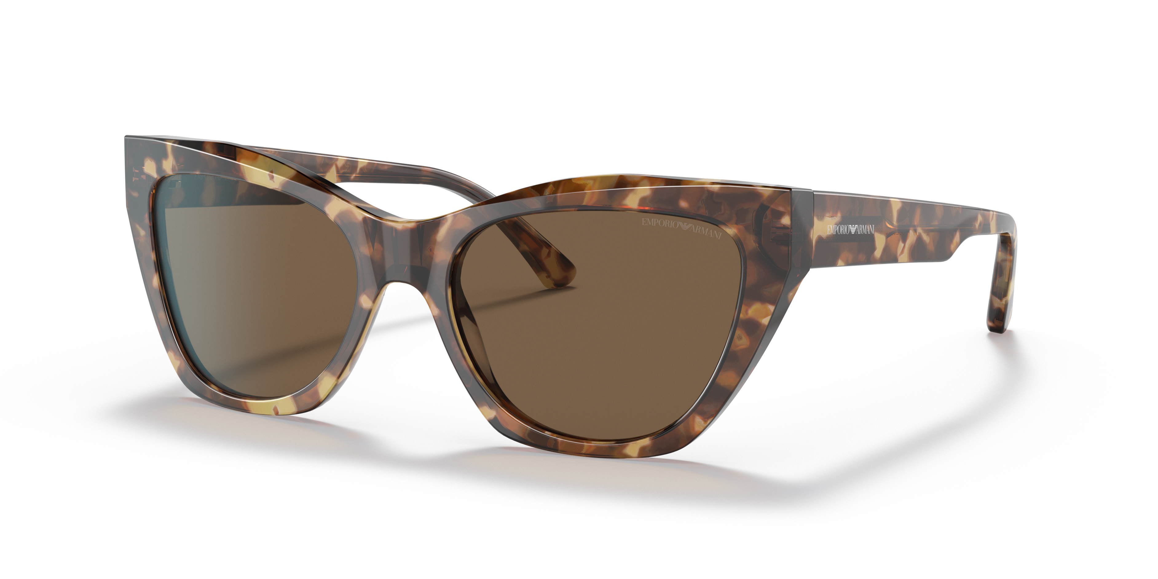 502573 - Shiny Brown Havana