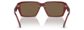 507573 - Shiny Transparent Red