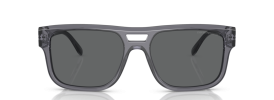 Emporio Armani EA 4197 Sunglasses