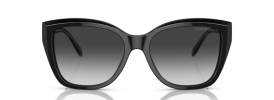 Emporio Armani EA 4198 Sunglasses