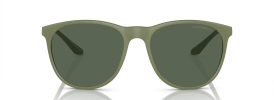 542471 - Matte Sage Green