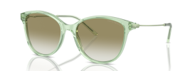 61078E - Shiny Transparent Green