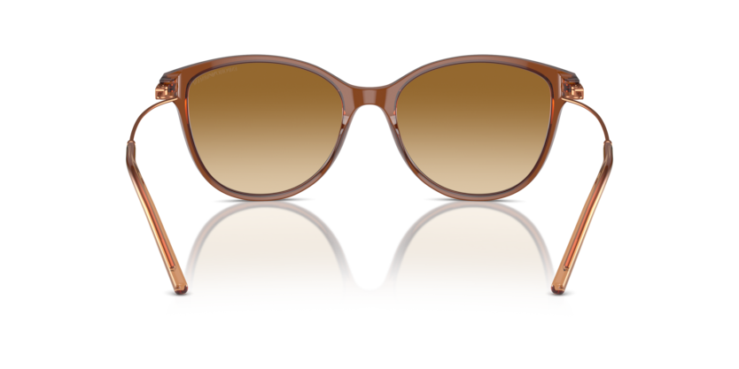 61103B - Shiny Transparent Light Brown