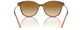 61103B - Shiny Transparent Light Brown