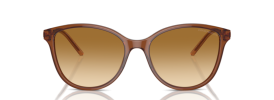 61103B - Shiny Transparent Light Brown