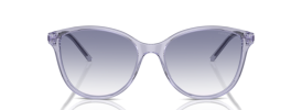 Emporio Armani EA 4220 Sunglasses