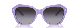 Emporio Armani EA 4221 Sunglasses