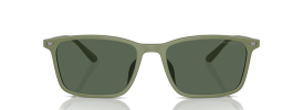 542471 - Matte Green