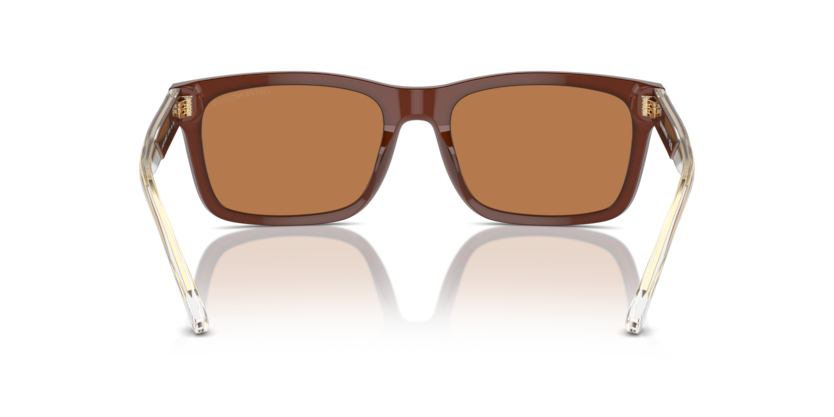 609573 - Shiny Opaline Brown