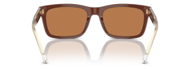 609573 - Shiny Opaline Brown