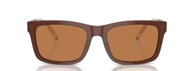 609573 - Shiny Opaline Brown