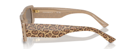 61195A - Leopard