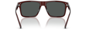 617487 - Transparent Brown