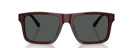 617487 - Transparent Brown