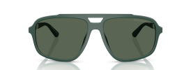 619071 - Dark Green