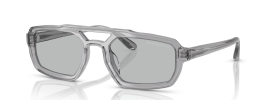 620287 - Shiny Transparent Grey