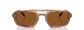 620373 - Shiny Havana Brown