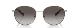 Michael Kors MK 1119 ALPINE Sunglasses