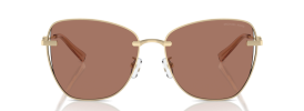 Michael Kors MK 1158D BEIJING Sunglasses