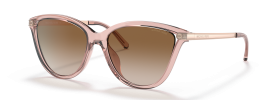 317513 - Pink Transparent