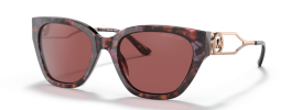 309975 - Pink Tortoise