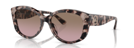 392114 - Royal Pink Tortoise Bio