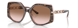 325113 - Pink Tortoise