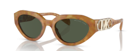 393582 - Amber Tortoise