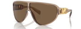 393773 - Brown Transparent