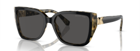 395087 - Bi-layer Black/Amber Tortoise