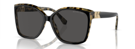 395087 - Black/Amber Tortoise