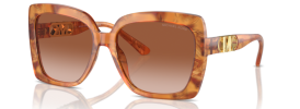 399913 - Amber Graphic Tortoise